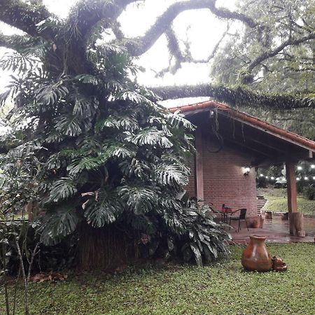 Terrazas Del Coya Hostel San Salvador de Jujuy Εξωτερικό φωτογραφία