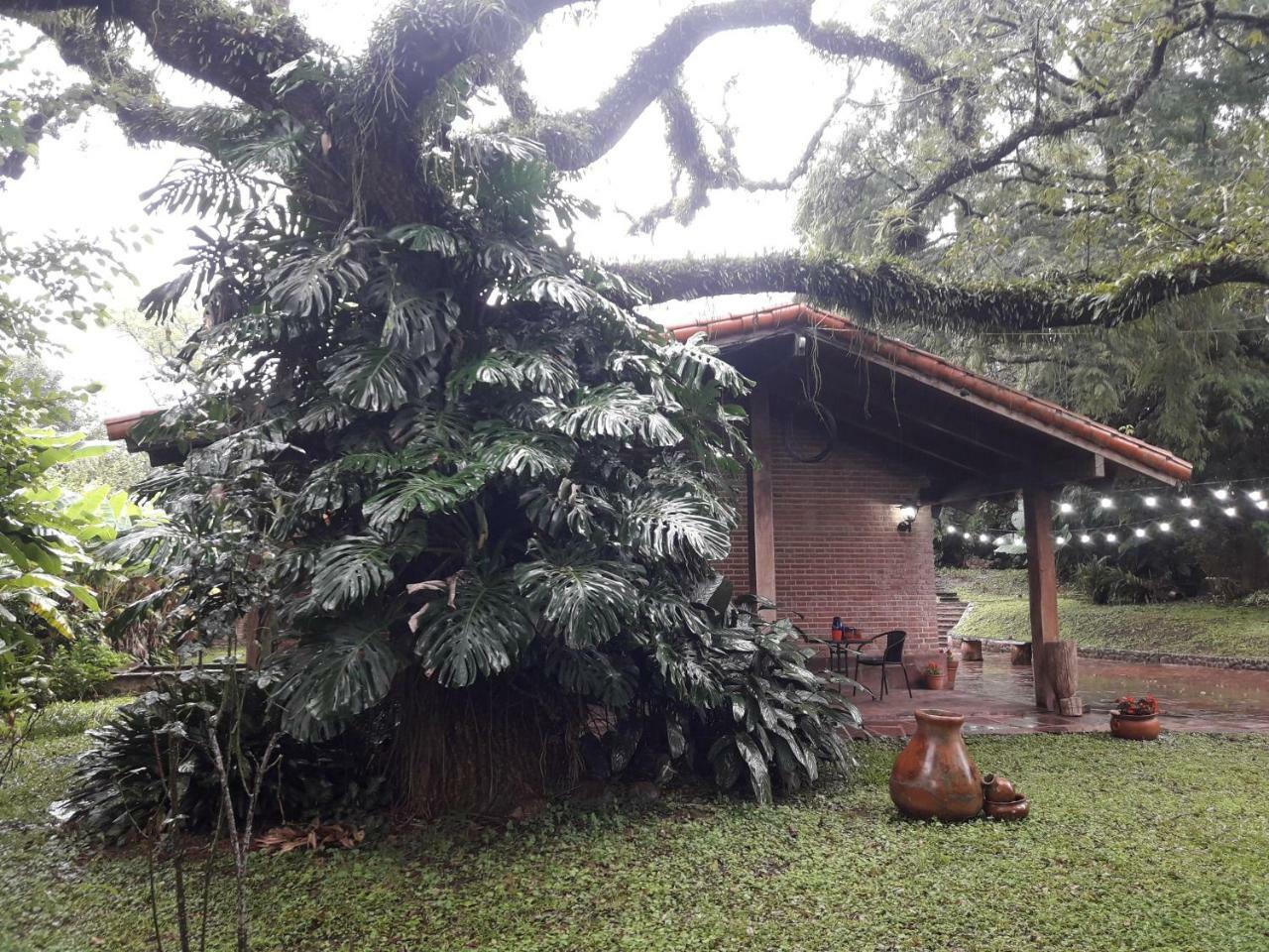 Terrazas Del Coya Hostel San Salvador de Jujuy Εξωτερικό φωτογραφία