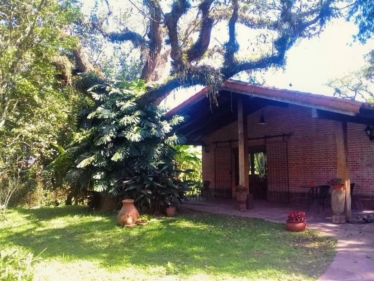 Terrazas Del Coya Hostel San Salvador de Jujuy Εξωτερικό φωτογραφία
